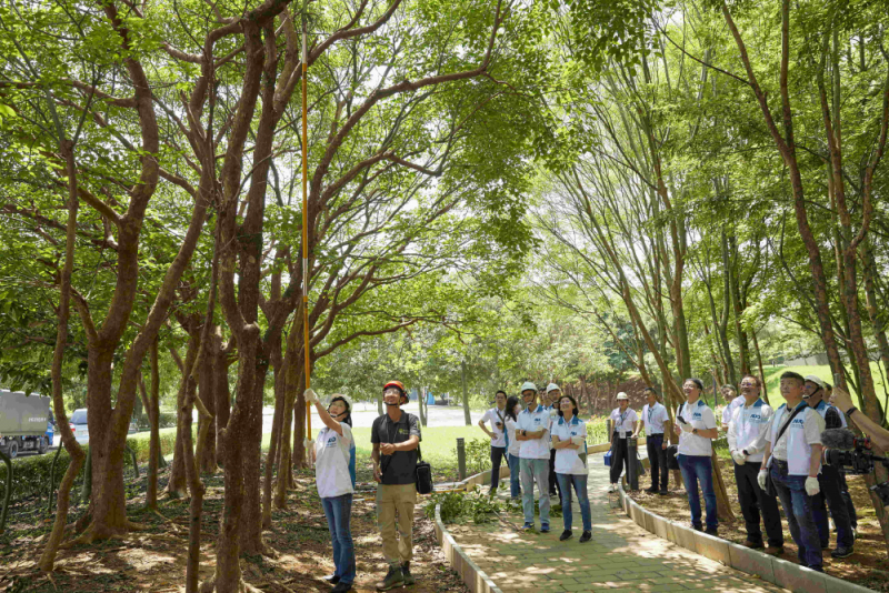 藝師教導大家認識樹木、檢查樹的健康狀況，學習修枝及碎枝覆土