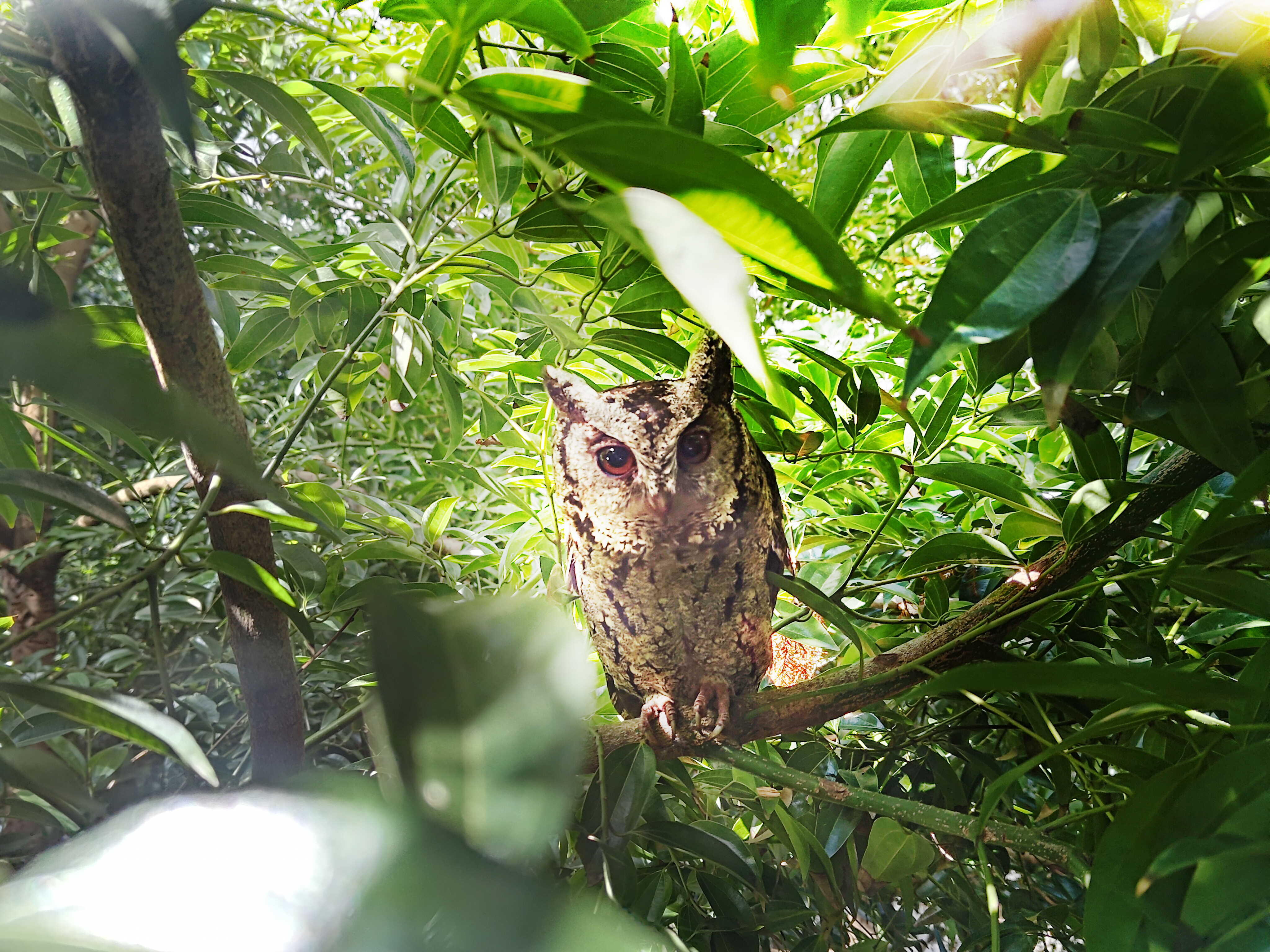 beats365致力提倡净零绿生活，16年以来在全球各厂区植树逾百万棵，造就各厂区树木蔚然成林，犹如森林工厂，成为许多生物的栖息地